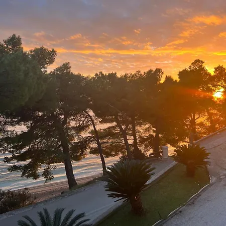 Bed & Breakfast Pansion 