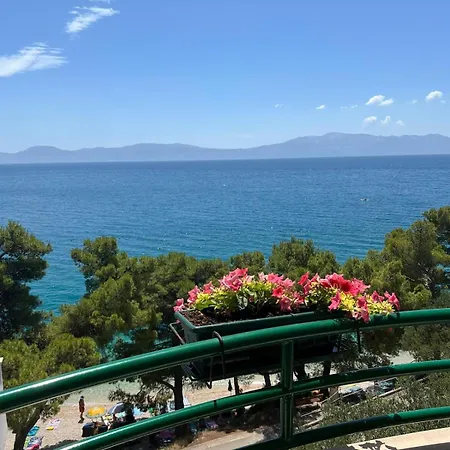 Bed & Breakfast Pansion 