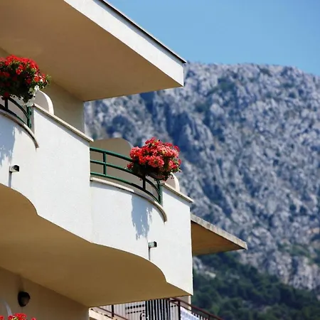 Oda ve Kahvaltı Pansion 